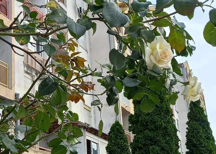 Rivijera Lakes Ada 아파트 *